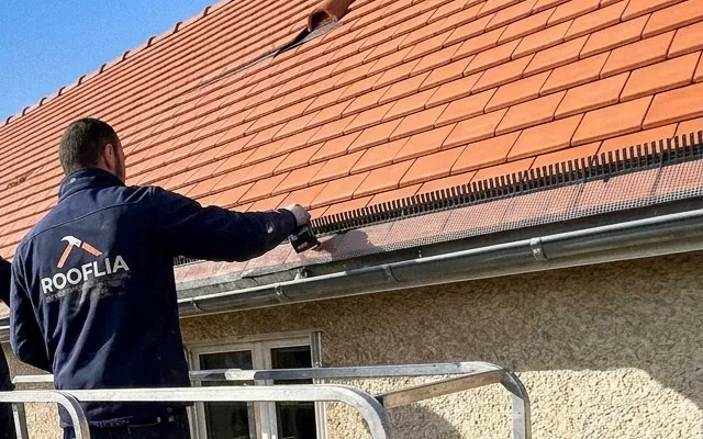 Couvreur Rooflia en veste floquée travaillant à l'égout d'un toit en tuiles mécaniques, au-dessus de la gouttière, à Massy